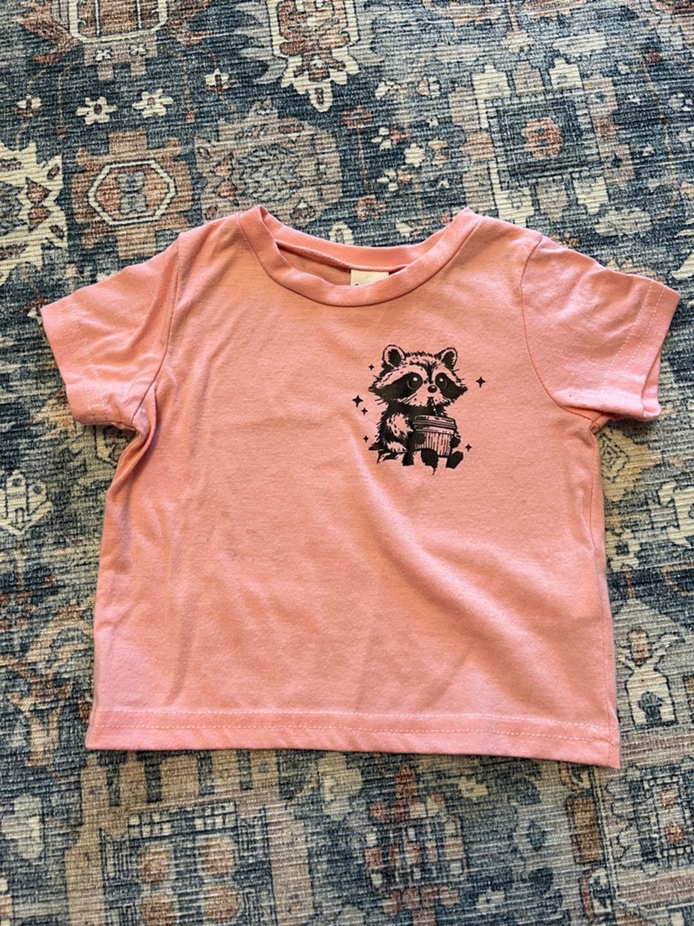 Bundle of Baby Girl Spring and Summer Outfits - Picture 11 of 16